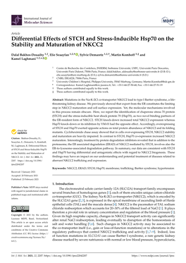Differential Effects of STCH and Stress-Inducible Hsp70 on the Stability and Maturation of NKCC2