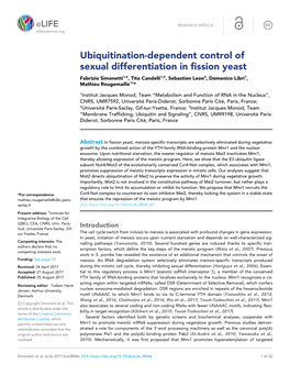 Ubiquitination-Dependent Control of Sexual Differentiation in Fission Yeast