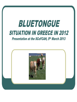 Blue Tongue Situation in Lesvos