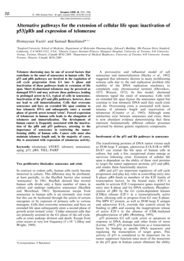 Alternative Pathways for the Extension of Cellular Life Span: Inactivation of P53/Prb and Expression of Telomerase