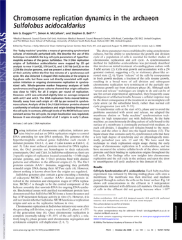 Chromosome Replication Dynamics in the Archaeon Sulfolobus Acidocaldarius