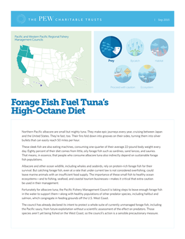 Forage Fish Fuel Tuna's High-Octane Diet (PDF)