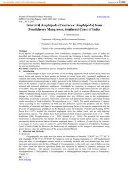 Intertidal Amphipods (Crustacea: Amphipoda) from Pondicherry Mangroves, Southeast Coast of India