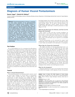 Diagnosis of Human Visceral Pentastomiasis