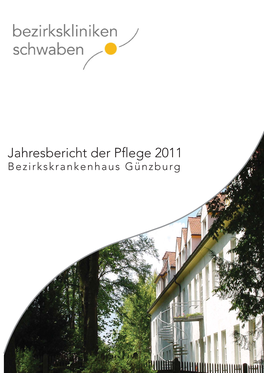 Jahresbericht Der Pflege 2011