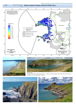 Ramsey Island to Skomer Island (St Brides Bay) Name