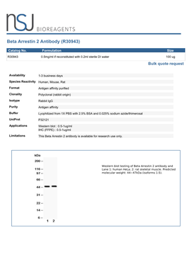 Beta Arrestin 2 Antibody (R30943)