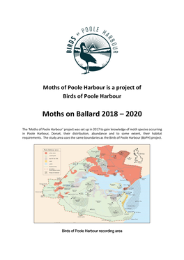 Moths on Ballard 2018 – 2020