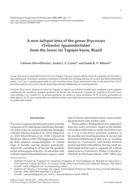 A New Tailspot Tetra of the Genus Bryconops (Teleostei: Iguanodectidae) from the Lower Rio Tapajós Basin, Brazil