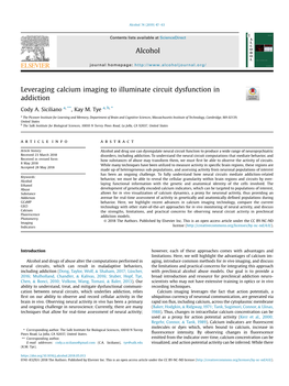 Calcium Imaging to Illuminate Circuit Dysfunction in Addiction