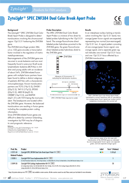 Zytolight ® SPEC ZNF384 Dual Color Break Apart Probe