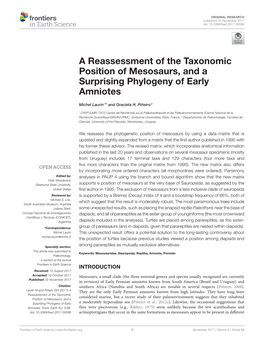 A Reassessment of the Taxonomic Position of Mesosaurs, and a Surprising Phylogeny of Early Amniotes