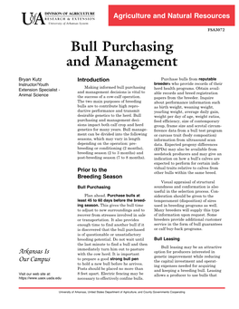 Bull Purchasing and Management