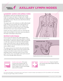 Axillary Lymph Nodes and Breast Cancer