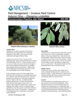 Invasive Plant Control Autumn Olive – Elaeagnus Umbellata Conservation Practice Job Sheet NH-595