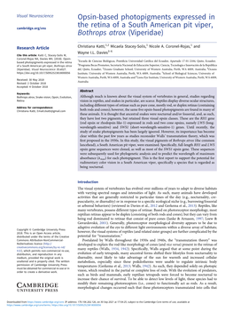 Opsin-Based Photopigments Expressed in the Retina of a South