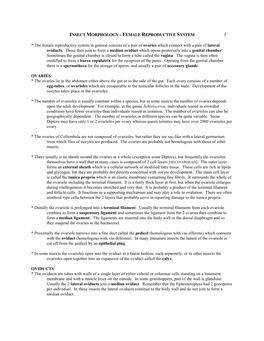 Insect Morphology - Female Reproductive System 1
