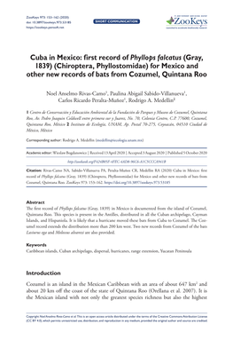 Cuba in Mexico: First Record of Phyllops Falcatus (Gray, 1839) (Chiroptera, Phyllostomidae) for Mexico and Other New Records of Bats from Cozumel, Quintana Roo