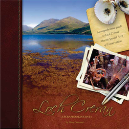 Guide to Loch Creran, Working with Barcaldine Primary School and the Local Community