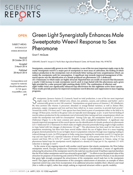 Green Light Synergistally Enhances Male Sweetpotato Weevil