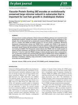 Vacuolar Protein Sorting 26C Encodes an Evolutionarily Conserved Large Retromer Subunit in Eukaryotes That Is Important for Root Hair Growth in Arabidopsis Thaliana