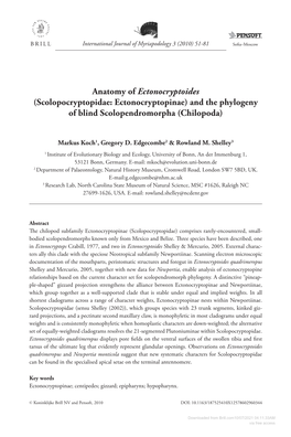 Anatomy of <I>Ectonocryptoides</I> (Scolopocryptopidae: Ectonocryptopinae) and the Phylogeny of Blind Scolopendromor