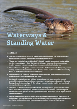 Waterways & Standing Water