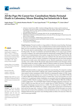 Cannibalism Masks Perinatal Death in Laboratory Mouse Breeding but Infanticide Is Rare