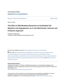 The Effect of Wild Blueberry Bioactives on Endothelial Cell Migration and Angiogenesis: an in Vitro Mechanistic, Genomic and Proteomic Approach