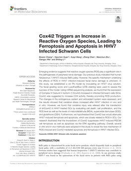 Cox4i2 Triggers an Increase in Reactive Oxygen Species, Leading to Ferroptosis and Apoptosis in HHV7 Infected Schwann Cells