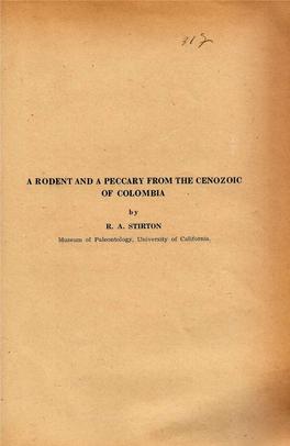 A RODENT and a PECCARY from the CENOZOIC of COLOMBIA By