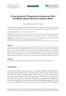 A New Species of Cinnamomum (Lauraceae) from the Bladen Nature Reserve, Southern Belize. Phytokeys 81: 1–10