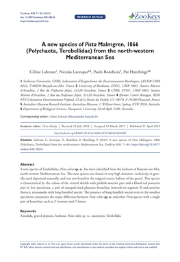 A New Species of Pista Malmgren, 1866 (Polychaeta, Terebellidae) from the North-Western Mediterranean Sea