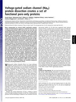 Voltage-Gated Sodium Channel (Nav )