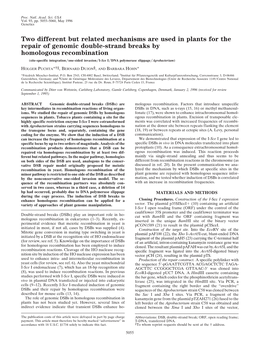 Two Different but Related Mechanisms Are Used in Plants for the Repair Of