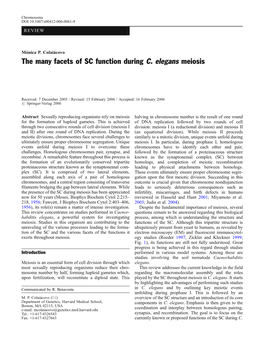 The Many Facets of SC Function During C. Elegans Meiosis