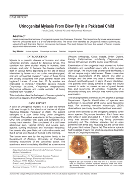 Urinogenital Myiasis from Blow Fly in a Pakistani Child Farrah Zaidi, Naheed Ali and Muhammad Khisroon