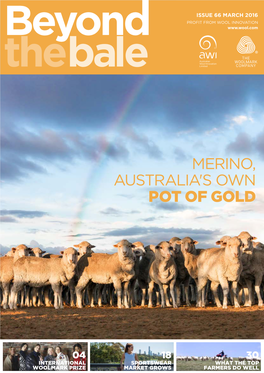 Merino, Australia's Own Pot of Gold