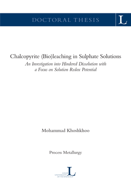 DOCTORAL THESIS Chalcopyrite (Bio)Leaching in Sulphate Solutions