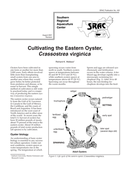 Cultivating the Eastern Oyster, Crassostrea Virginica