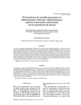 El Mecanismo De Mordida Premaxilar En Atherinopsinae (Teleostei: Atheriniformes): Aspectos Estructurales Relacionados Con La Transmisión De Fuerzas