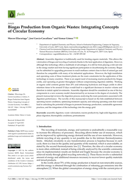 Biogas Production from Organic Wastes: Integrating Concepts of Circular Economy