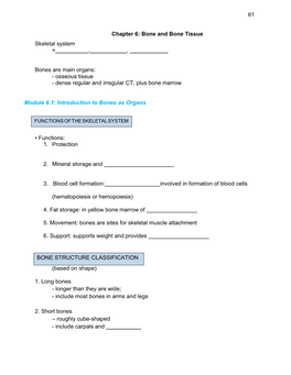 Bone and Bone Tissue Skeletal System = , , Bones Are Main Organs