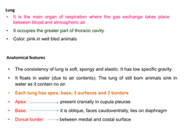 Thoracic Aorta and Abdominal Aorta