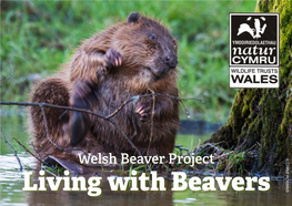 Welsh Beaver Project © CHRIS ROBBINS Living with Beavers Beavers Beavers Are Large, Semi-Aquatic Mammals (Average Adult Weight Is 20Kg/25Kg)