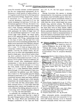 A Description of the Genus Mimosa