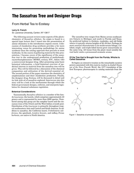 The Sassafras Tree and Designer Drugs: from Herbal Tea to Ecstasy