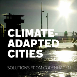 Solutions from Copenhagen