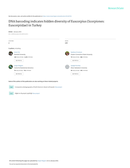 DNA Barcoding Indicates Hidden Diversity of Euscorpius (Scorpiones: Euscorpiidae) in Turkey