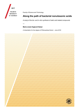 Along the Path of Bacterial Nonulosonic Acids